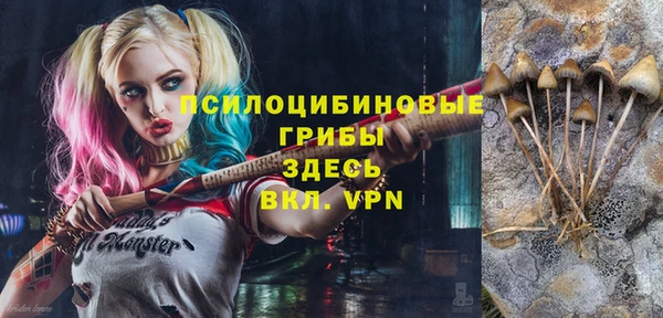 ешки Алексеевка