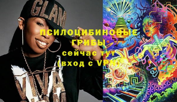 винт Алзамай