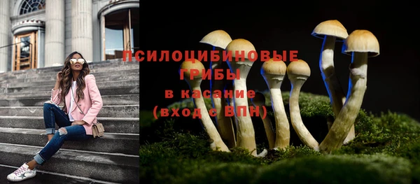 ешки Алексеевка