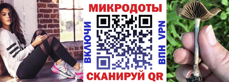 Псилоцибиновые грибы Psilocybe  Курлово 